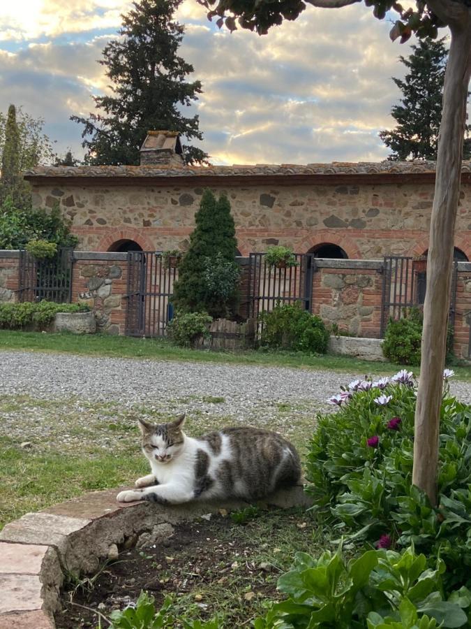 Agriturismo Il Pozzo Кастильоне-д'Орчия Экстерьер фото