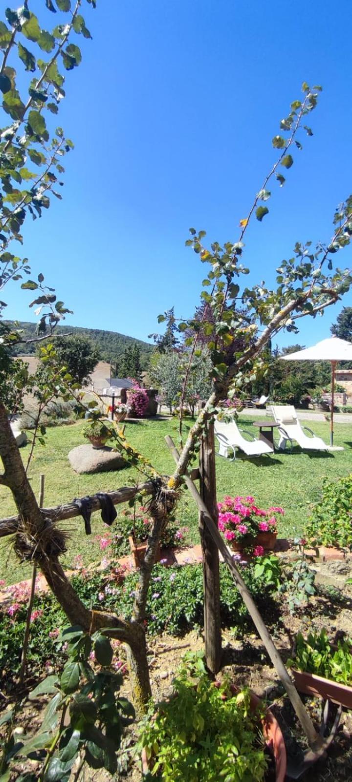 Agriturismo Il Pozzo Кастильоне-д'Орчия Экстерьер фото