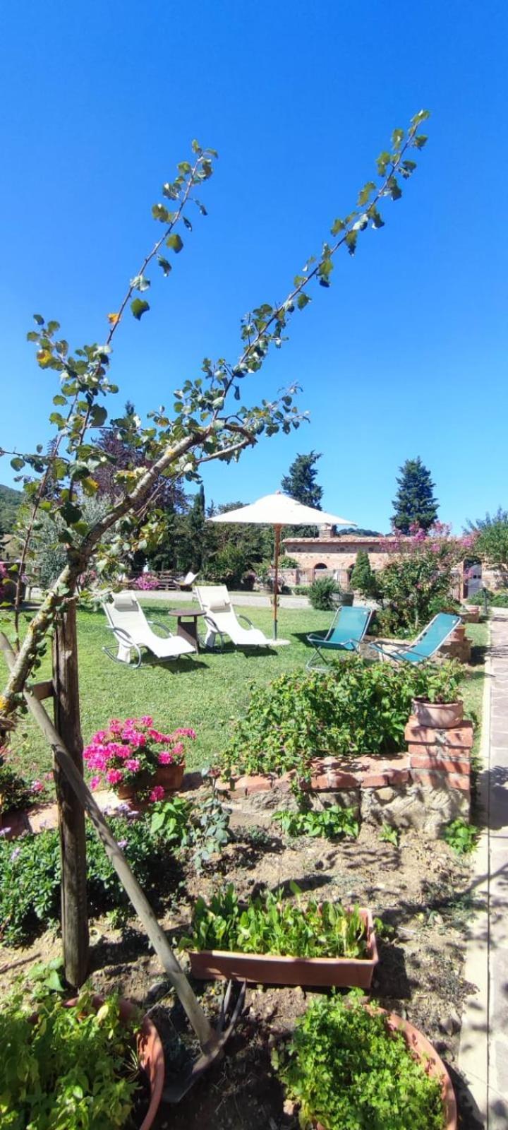 Agriturismo Il Pozzo Кастильоне-д'Орчия Экстерьер фото