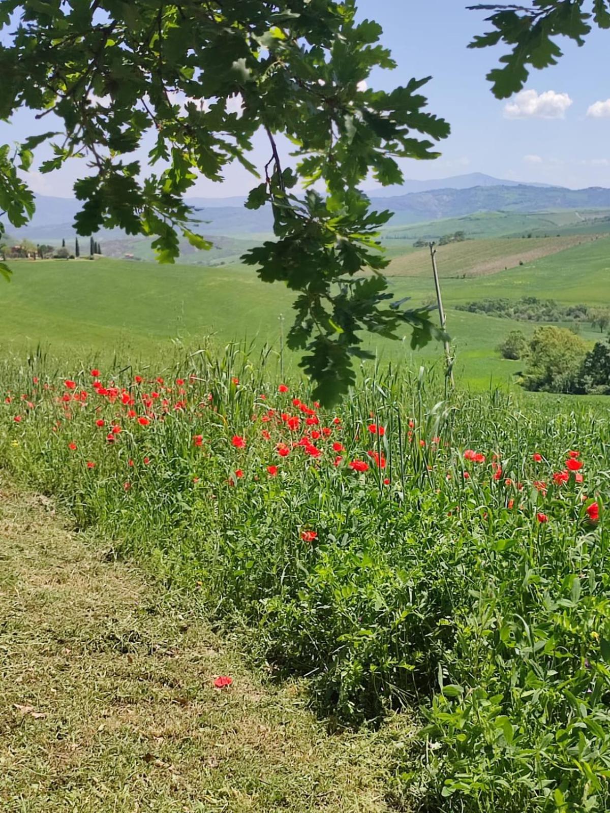 Agriturismo Il Pozzo Кастильоне-д'Орчия Экстерьер фото